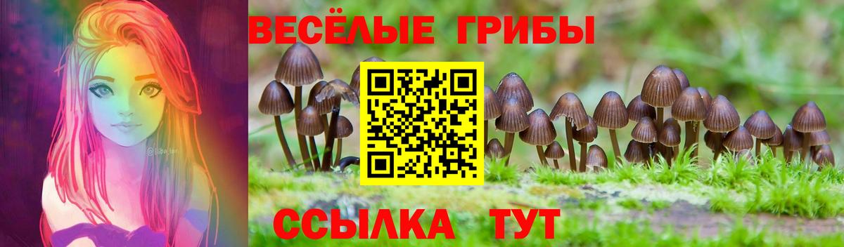 Галлюциногенные грибы Psilocybe  Вход с VPN  Куйбышев 